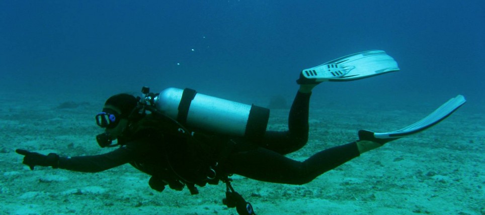 plongée sous marine